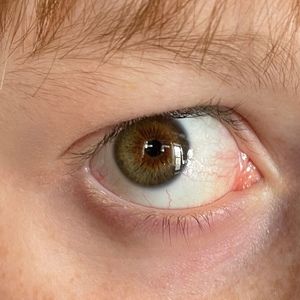 Meet your Posher, Terry